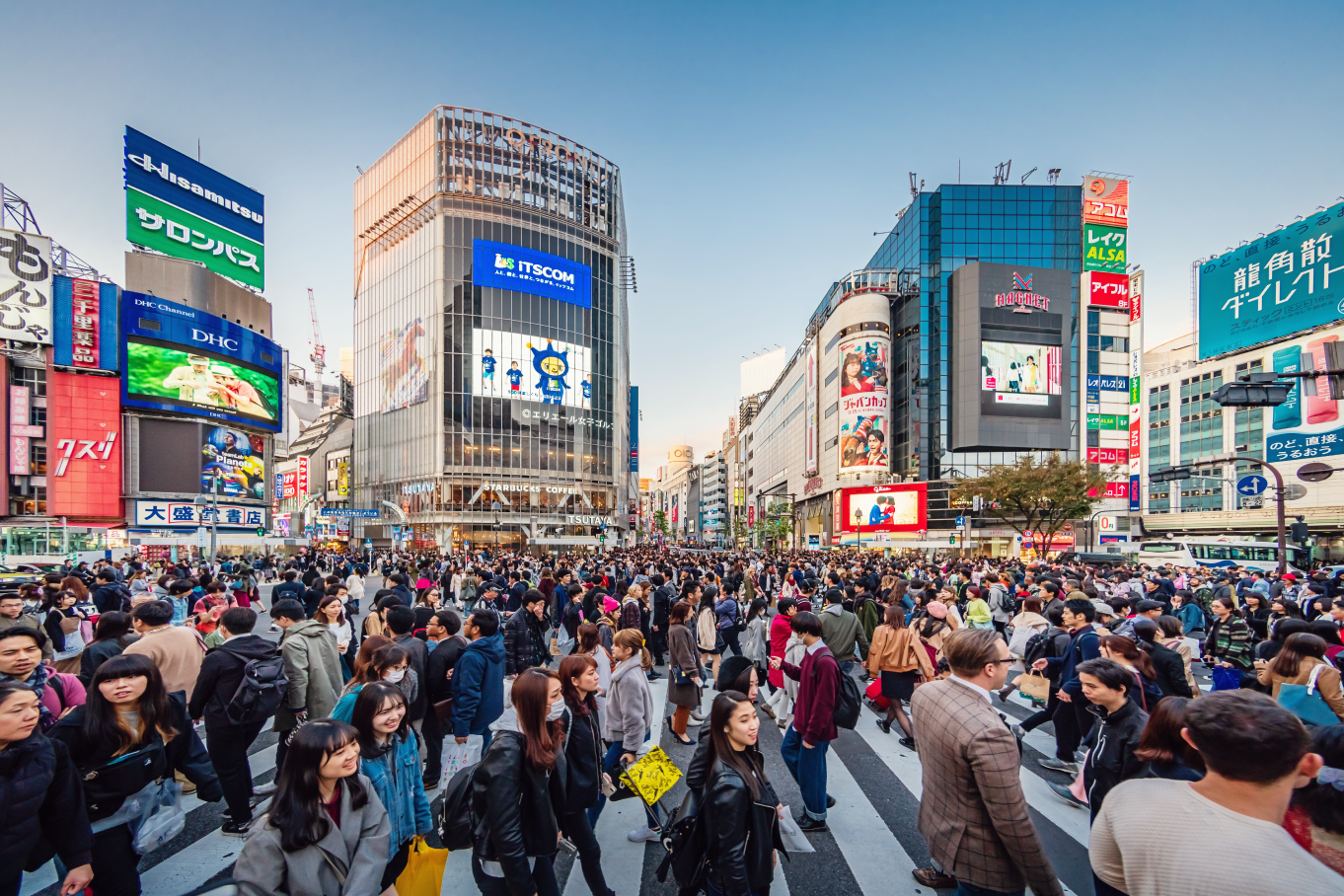 コアラホテル内画像